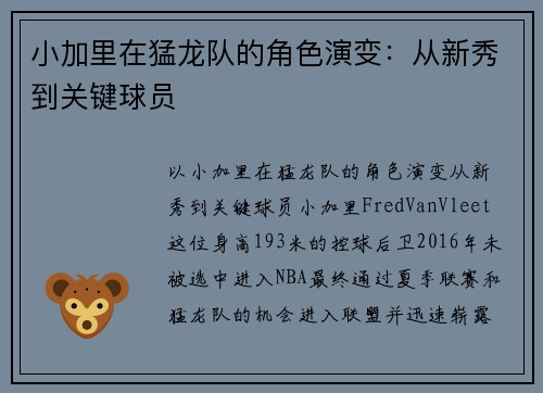 小加里在猛龙队的角色演变：从新秀到关键球员